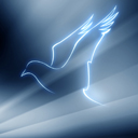 ������ ��� �����